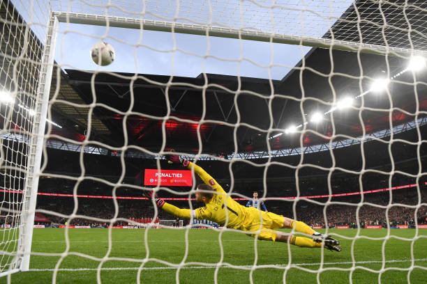 球迷的欢呼 球迷的欢呼